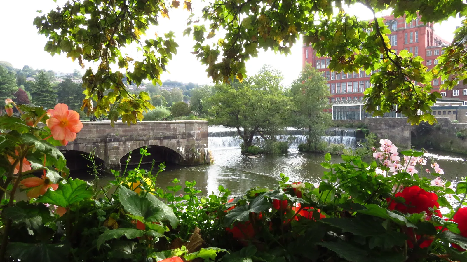 The horseshoe weir on the River Derwent with Strutt's red-brick North Mill behind, framed by flowers and leaves