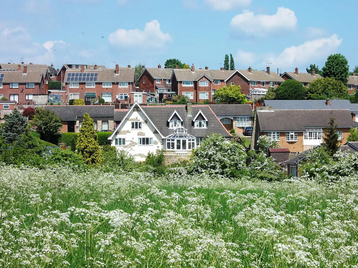 Houses above a meadow of wild flowers in Whiston, Rotherham